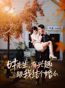 时先生有兴趣跟我结个婚么第1-20集